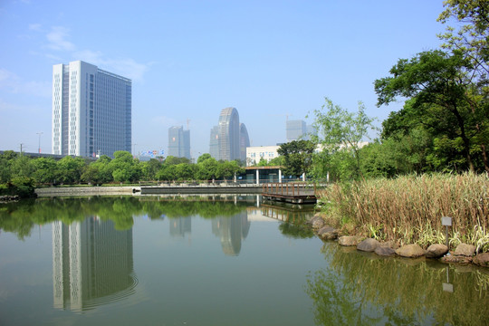 温州瓯海新区风光