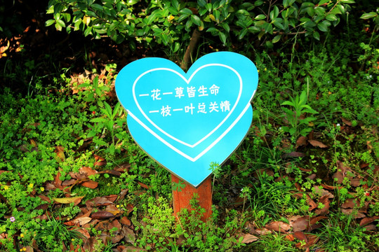 温州瓯海新区风光