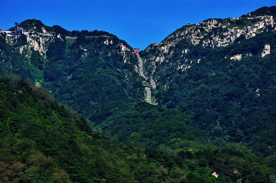 山东泰山