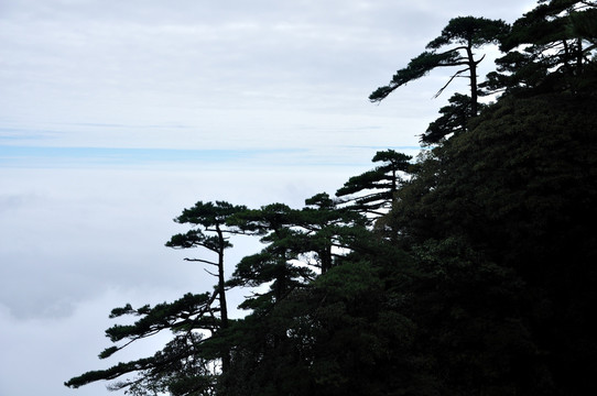 江西三清山风光