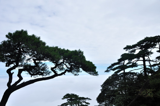 江西三清山风光