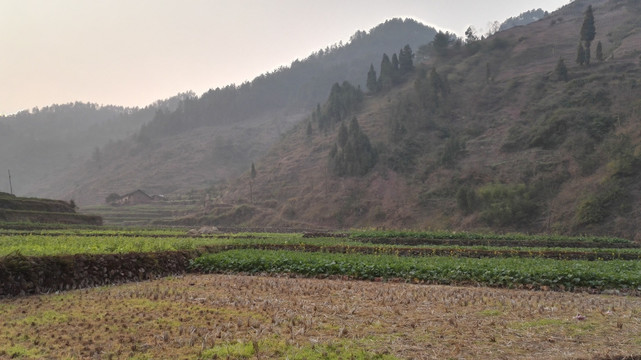 乡村田园 农家