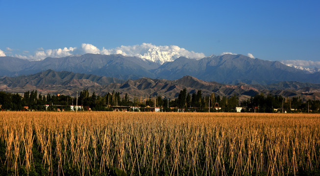 北疆戈壁