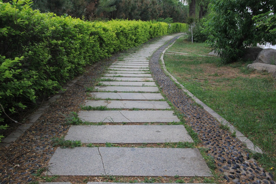 公园石板路