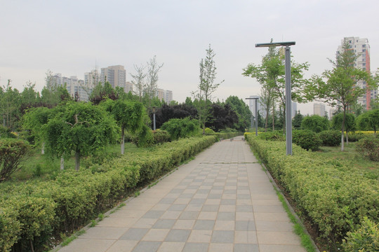 公园道路