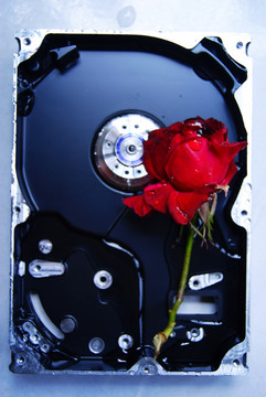 硬盘与花
