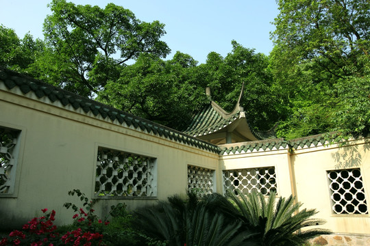 庭院