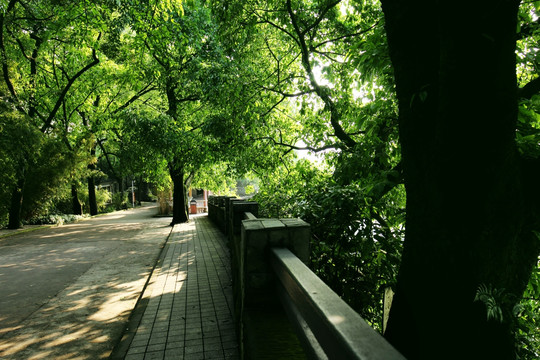 路