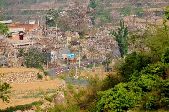 盘山公路