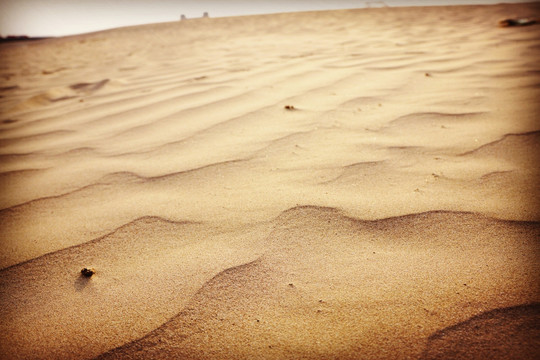 沙漠 沙丘