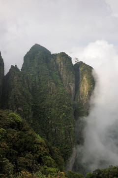 雄蜂雾景