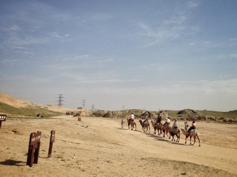 大漠驼队 银川水洞沟