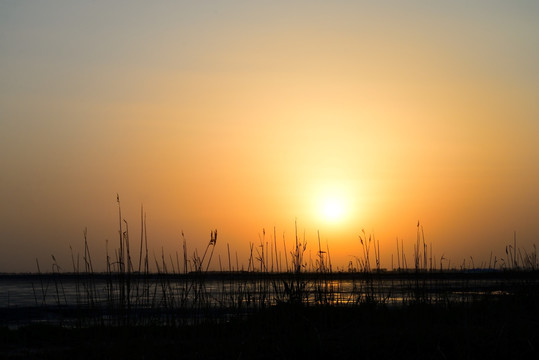 鸭绿江口湿地自然保护区