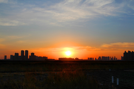 城市 清晨 日出 湿地 大庆
