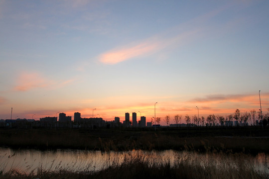 城市 清晨 日出 湿地 大庆