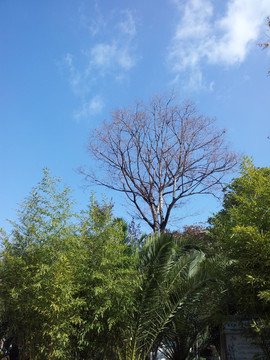 自然风光