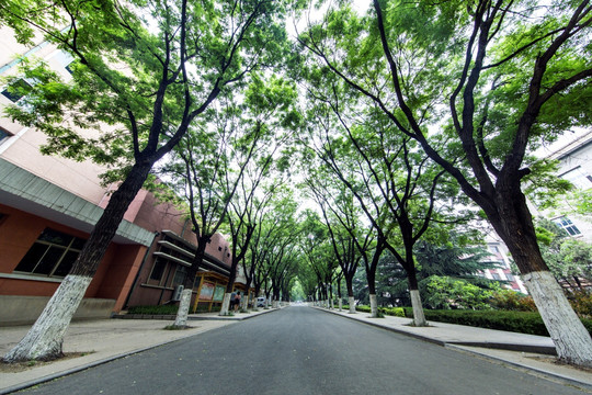 山东农业大学