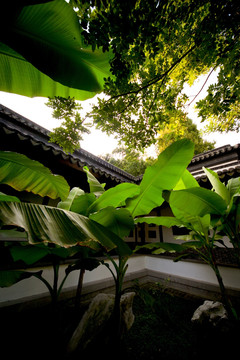 焦山景区