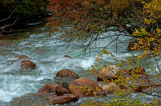 高山溪流