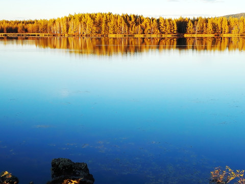 秋季杜鹃湖湿地