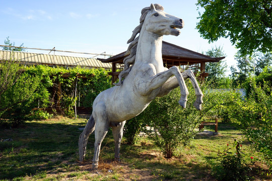 马