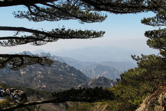 松林远山