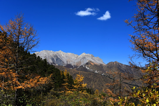 童话九寨 迷色黄龙