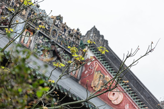 广州陈家祠