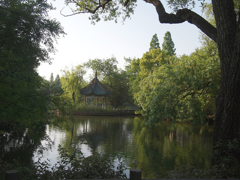 上海动物园自然风光