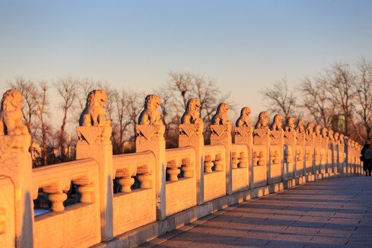 颐和园十七孔桥石栏杆石狮阳光