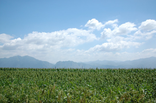 山西风光