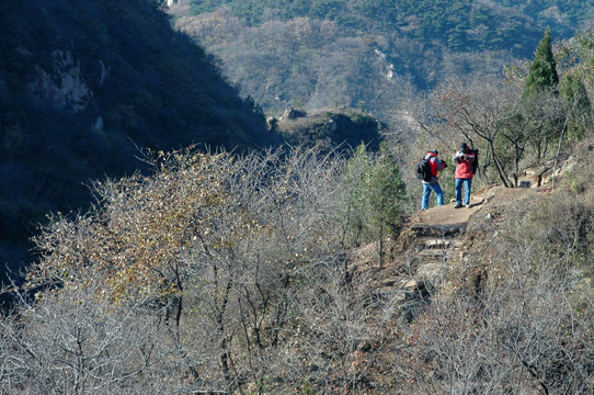 北京红叶岭风光