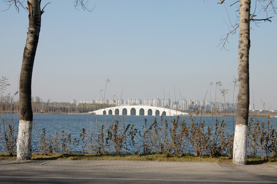 南湖公园石桥
