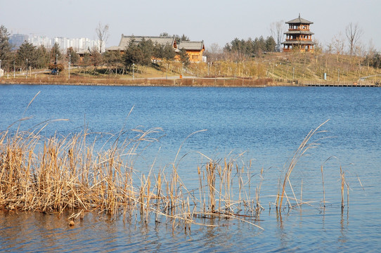 唐山南湖公园