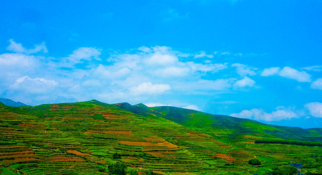 丘陵  山地