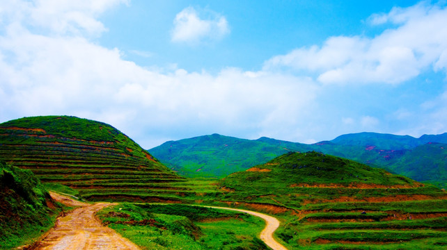 丘陵 公路 黄土地