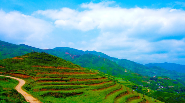 丘陵  公路