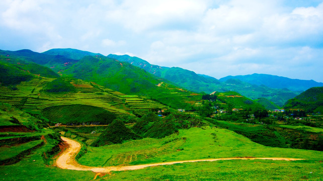 丘陵 乡间公路 草坪