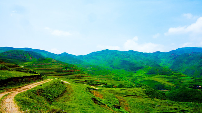 丘陵 公路