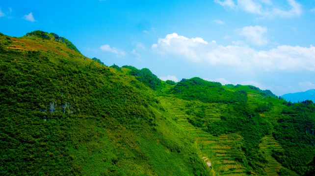 一座青山  大山