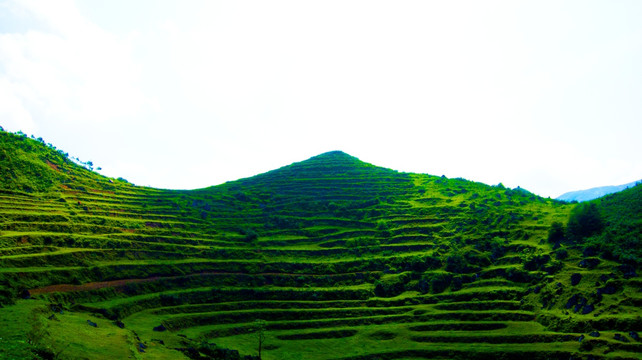 丘陵 山地