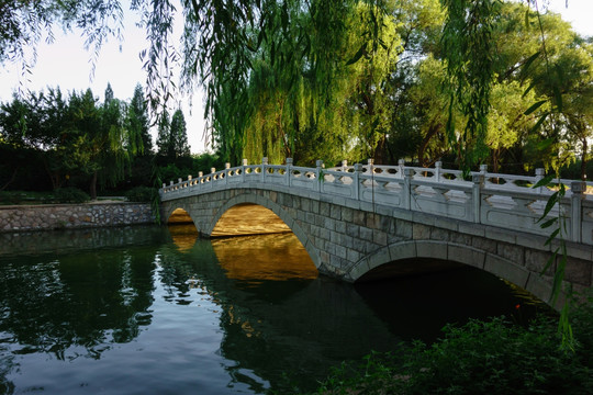 北京颐和园京密引水渠石桥柳树