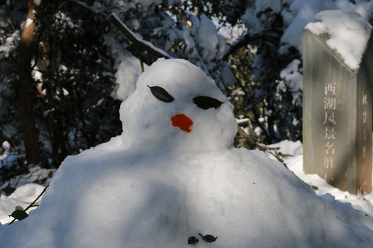 漂亮的雪人