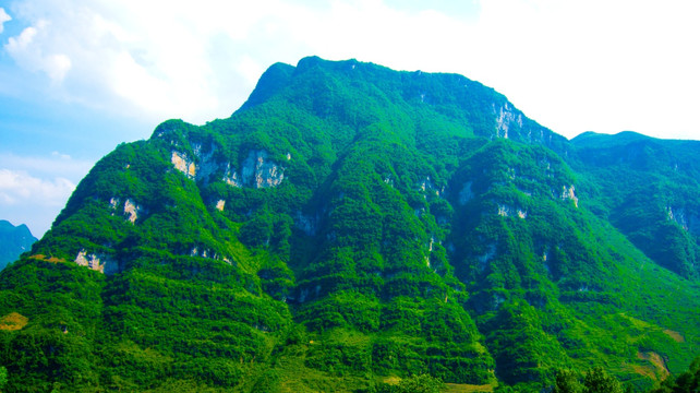 绿色大山  青山