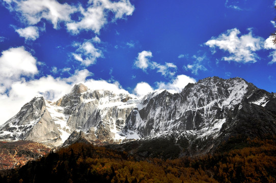 四姑娘山 金秋 雪山 红叶