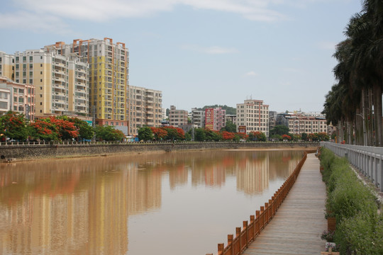 信宜风景