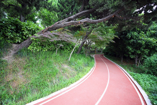 紫藤园 健身步道