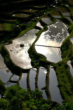 加榜梯田