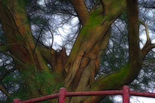 树木 抽象画