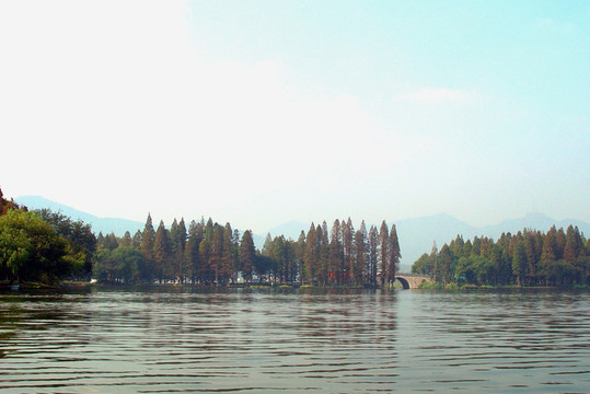 西湖杨公堤小景